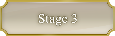 Stage 3