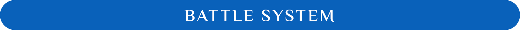 BATTLE SYSTEM