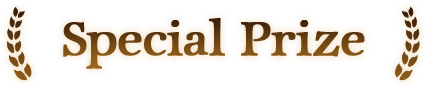 Special Prize
