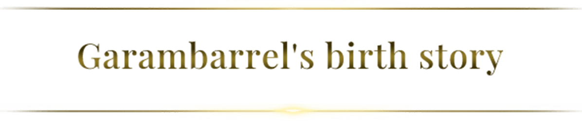 Garambarrel's birth story